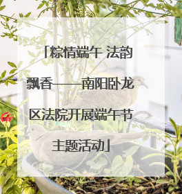 粽情端午 法韵飘香——南阳卧龙区法院开展端午节主题活动