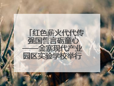 红色薪火代代传 强国誓言砺童心——金寨现代产业园区实验学校举行分批入队仪式