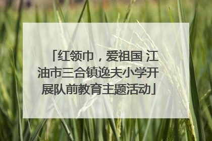 红领巾，爱祖国 江油市三合镇逸夫小学开展队前教育主题活动