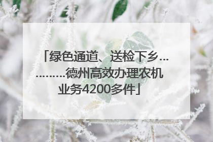 绿色通道、送检下乡…………德州高效办理农机业务4200多件