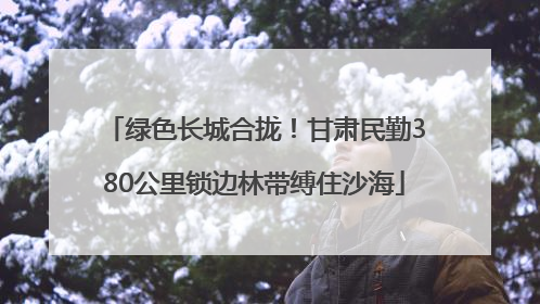 绿色长城合拢！甘肃民勤380公里锁边林带缚住沙海