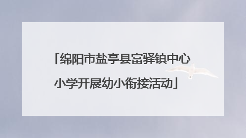 绵阳市盐亭县富驿镇中心小学开展幼小衔接活动