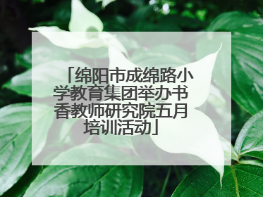 绵阳市成绵路小学教育集团举办书香教师研究院五月培训活动