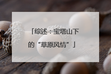 综述：宝塔山下的“草原风情”
