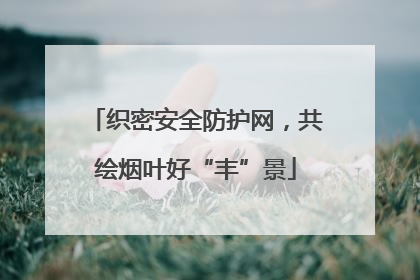 织密安全防护网，共绘烟叶好“丰”景