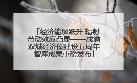 经济能级跃升 辐射带动效应凸显——成渝双城经济圈建设五周年智库成果重磅发布