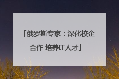 俄罗斯专家：深化校企合作 培养IT人才