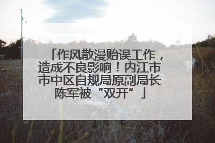 作风散漫贻误工作，造成不良影响！内江市市中区自规局原副局长陈军被“双开”