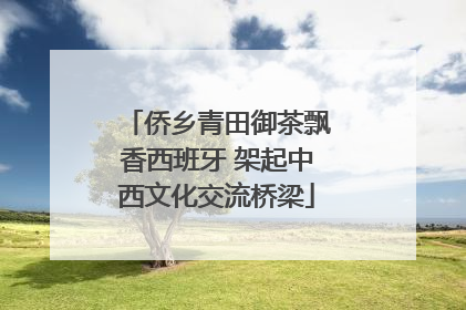 侨乡青田御茶飘香西班牙 架起中西文化交流桥梁