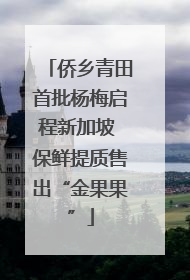 侨乡青田首批杨梅启程新加坡 保鲜提质售出“金果果”