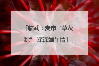 临武：麦市“草灰粽” 深深端午情
