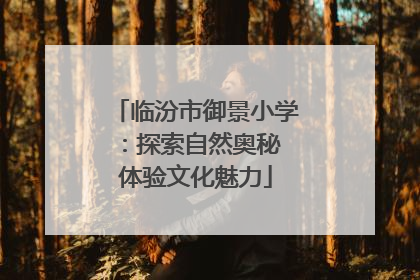 临汾市御景小学：探索自然奥秘 体验文化魅力