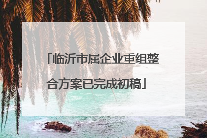 临沂市属企业重组整合方案已完成初稿