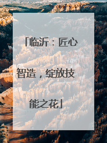 临沂：匠心智造，绽放技能之花