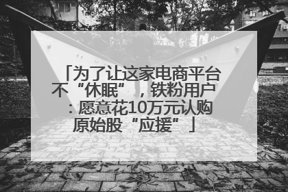 为了让这家电商平台不“休眠”，铁粉用户：愿意花10万元认购原始股“应援”