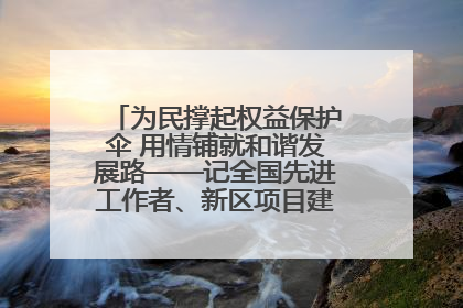 为民撑起权益保护伞 用情铺就和谐发展路——记全国先进工作者、新区项目建设中心干部卢小勇