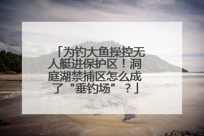 为钓大鱼操控无人艇进保护区！洞庭湖禁捕区怎么成了“垂钓场”？