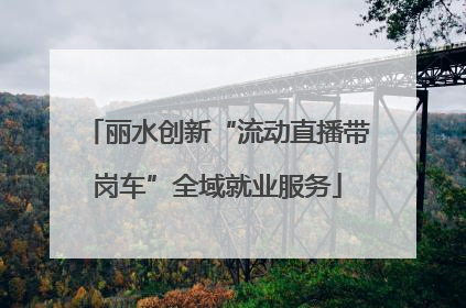丽水创新“流动直播带岗车”全域就业服务