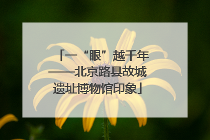 一“眼”越千年——北京路县故城遗址博物馆印象