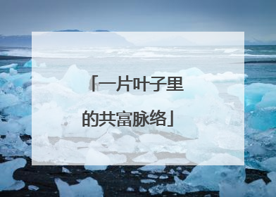 一片叶子里的共富脉络