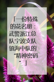 一份特殊的花名册：武警浙江总队宁波支队镇海中队的“精神密码”