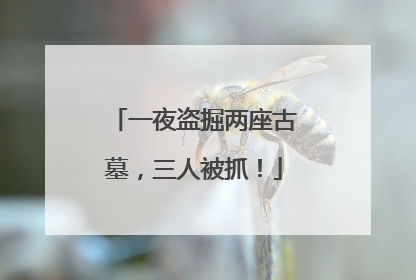 一夜盗掘两座古墓，三人被抓！