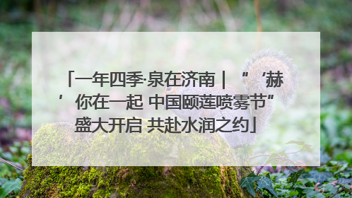 一年四季·泉在济南｜“‘赫’你在一起 中国颐莲喷雾节”盛大开启 共赴水润之约