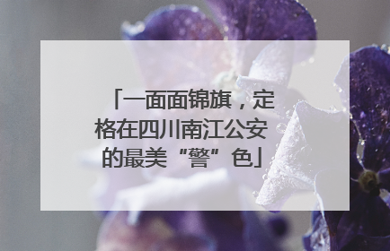 一面面锦旗，定格在四川南江公安的最美“警”色