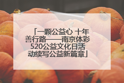一颗公益心 十年善行路——南京体彩520公益文化日活动续写公益新篇章
