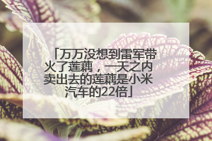 万万没想到雷军带火了莲藕，一天之内卖出去的莲藕是小米汽车的22倍