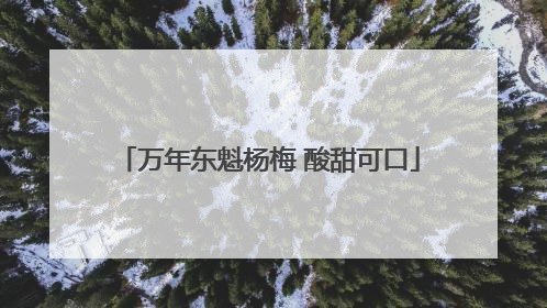 万年东魁杨梅 酸甜可口