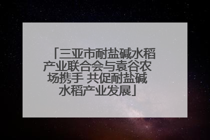 三亚市耐盐碱水稻产业联合会与袁谷农场携手 共促耐盐碱水稻产业发展