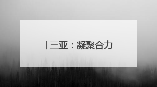 三亚：凝聚合力，共赴退役军人就业创业新征程
