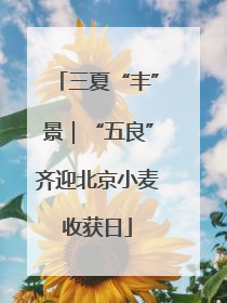 三夏“丰”景｜“五良”齐迎北京小麦收获日
