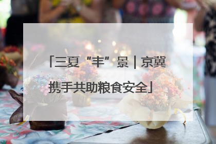 三夏“丰”景｜京冀携手共助粮食安全