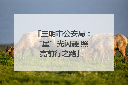 三明市公安局：“星”光闪耀 照亮前行之路