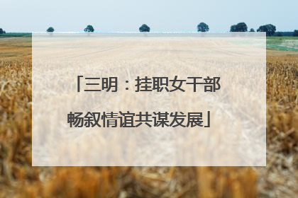 三明：挂职女干部畅叙情谊共谋发展