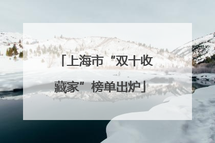 上海市“双十收藏家”榜单出炉