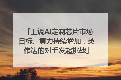 上调AI定制芯片市场目标、算力持续增加，英伟达的对手发起挑战