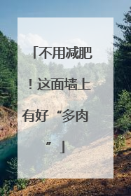 不用减肥！这面墙上有好“多肉”