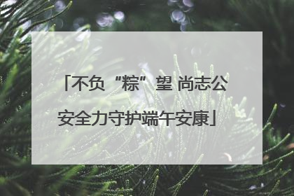 不负“粽”望 尚志公安全力守护端午安康