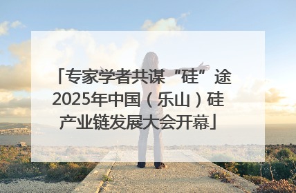 专家学者共谋“硅”途 2025年中国（乐山）硅产业链发展大会开幕