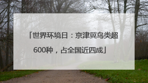世界环境日：京津冀鸟类超600种，占全国近四成