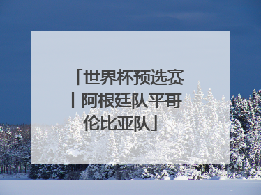 世界杯预选赛丨阿根廷队平哥伦比亚队