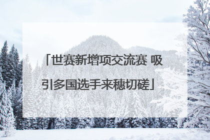 世赛新增项交流赛 吸引多国选手来穗切磋