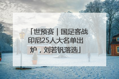 世预赛｜国足客战印尼25人大名单出炉，刘若钒落选