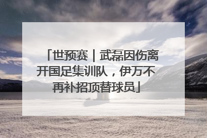 世预赛｜武磊因伤离开国足集训队，伊万不再补招顶替球员