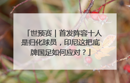 世预赛｜首发阵容十人是归化球员，印尼这把底牌国足如何应对？