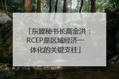 东盟秘书长高金洪：RCEP是区域经济一体化的关键支柱