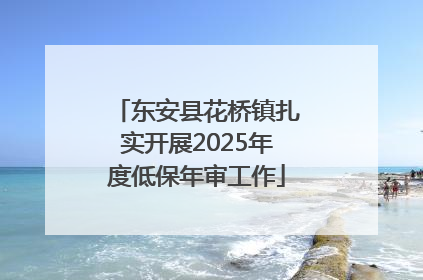 东安县花桥镇扎实开展2025年度低保年审工作
